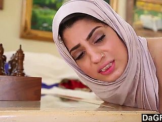 Dagfs - Arabisch-Küken Nadia Ali Schmeckt weißen Hahn